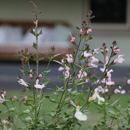 Serendipity On Allyn Villa Allynbrook Exterior foto