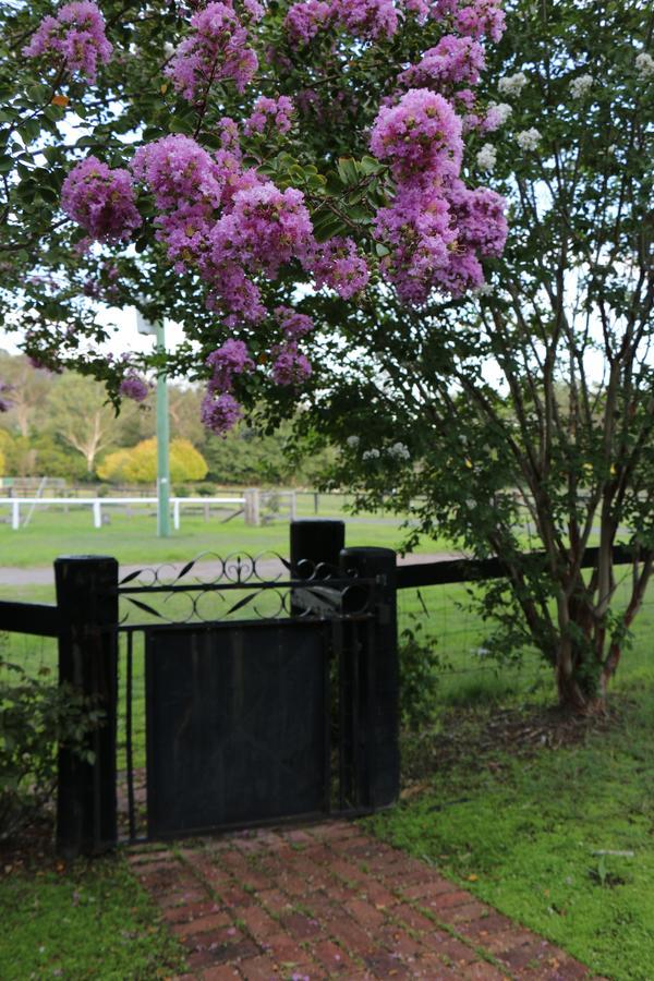 Serendipity On Allyn Villa Allynbrook Exterior foto